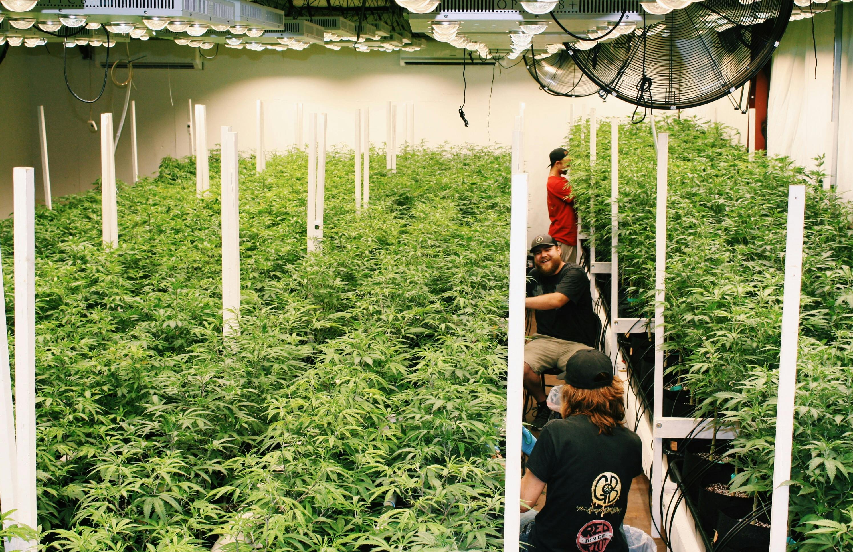 CannaMed Calera Calera, OK Dispensary Leafly